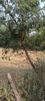 Property for sale in Dharsiwa, Raipur