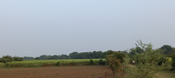 Property for sale in Nawagarh, Bemetara