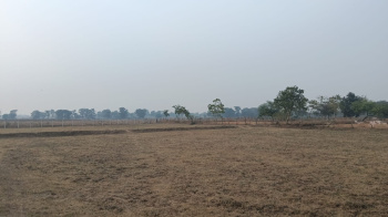 Property for sale in Nawagarh, Bemetara