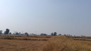 Property for sale in Pithora, Mahasamund