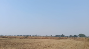 Property for sale in Pithora, Mahasamund