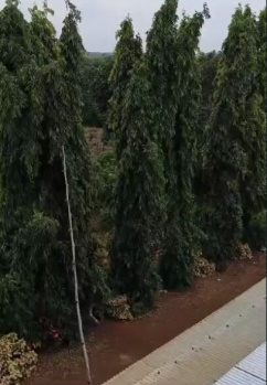 Property for sale in Dhamdha, Durg