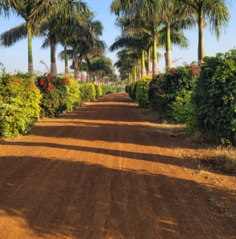 Property for sale in Dhamdha, Durg