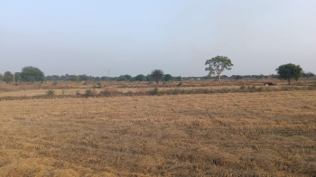 Property for sale in Arang, Raipur