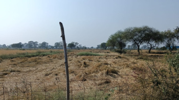 78 Acre Residential Plot for Sale in Jamai, Chhindwara