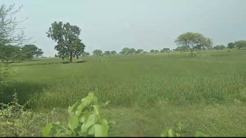 on road agricalture land for sell in arang