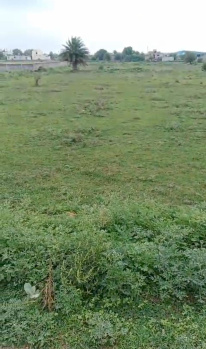 21017 Sq.ft. Residential Plot for Sale in Berla, Bemetara