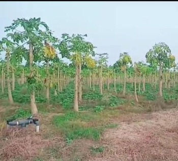 Property for sale in Berla, Bemetara