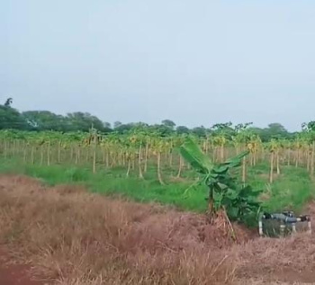 Property for sale in Berla, Bemetara