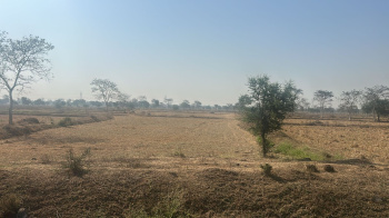 Property for sale in Patan, Durg
