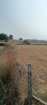 Commercial Lands /Inst. Land for Sale in Kamal Vihar, Raipur (17000 Sq.ft.)
