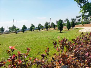 Residential Plot for Sale in Wallfort City, Raipur (800 Sq.ft.)