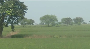 Residential Plot for Sale in Mandir Hasaud, Raipur (2070 Sq.ft.)