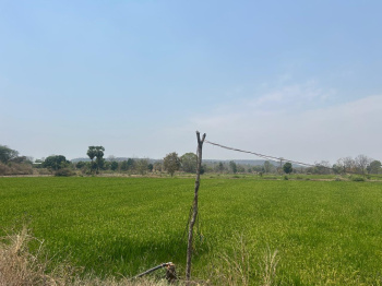 800 acres agriculture land for sale near Pithora Mahasamund