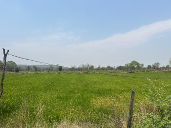 Property for sale in Pithora, Mahasamund