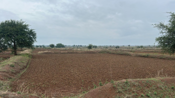 Agricultural/Farm Land for Sale in Urla, Raipur (8 Acre)