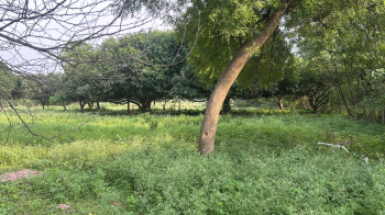 Agricultural/Farm Land for Sale in Champaran, Raipur (70 Acre)