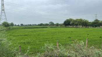 Agricultural/Farm Land for Sale in Patan, Durg (50 Acre)