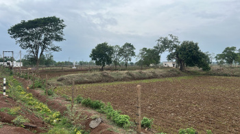 Agricultural/Farm Land for Sale in Pathariya, Bilaspur (9.5 Acre)