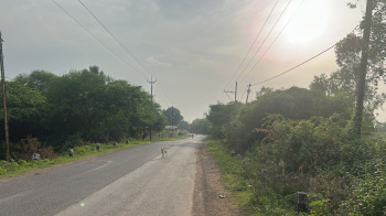 Agricultural/Farm Land for Sale in Berla, Bemetara (13 Acre)