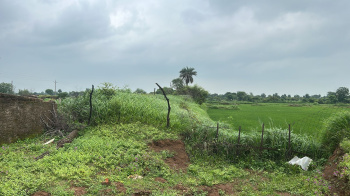 Industrial Land / Plot for Sale in Chakarbhatha, Bilaspur (213 Acre)
