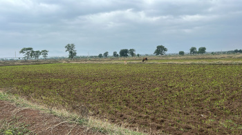 Commercial Lands /Inst. Land for Sale in Anjora, Durg (127 Acre)