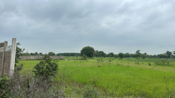 Agricultural/Farm Land for Sale in Tilda, Raipur (160 Acre)