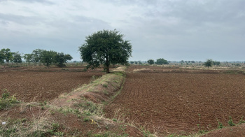 Industrial Land / Plot for Sale in Pamgarh, Janjgir-Champa (250 Acre)