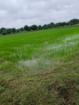 Agricultural/Farm Land for Sale in Nawagarh, Bemetara (50 Acre)