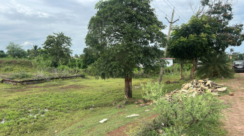 Property for sale in Pithora, Mahasamund