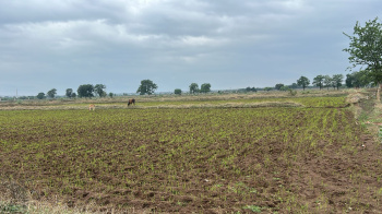 Agricultural/Farm Land for Sale in Nandghat, Durg (5.75 Acre)