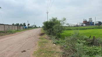 Residential Plot for Sale in Arang, Raipur (6.5 Acre)