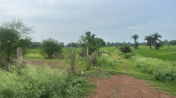Property for sale in Arang, Raipur