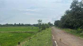 Agricultural/Farm Land for Sale in Abhanpur, Raipur (6 Acre)