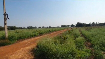 22 Acre Agricultural/Farm Land for Sale in Kurud, Dhamtari