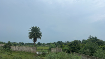 Agricultural/Farm Land for Sale in Tilda, Raipur (7 Acre)