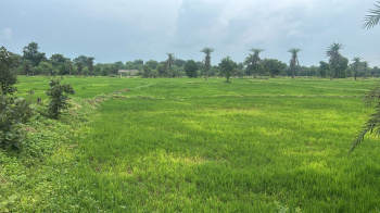 Commercial Lands /Inst. Land for Sale in Daldal Seoni, Raipur (11 Acre)