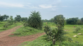 Agricultural/Farm Land for Sale in Arang, Raipur (16 Acre)