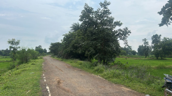 Agricultural/Farm Land for Sale in Shahpura, Dindori (200 Acre)