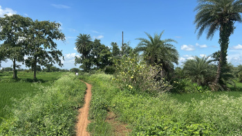 Agricultural/Farm Land for Sale in Arang, Raipur (3.95 Acre)