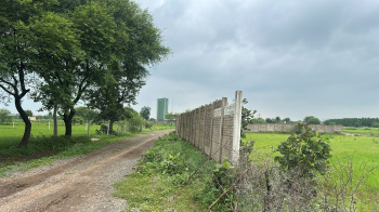 Residential Plot for Sale in Boria Kalan, Raipur (1000 Sq.ft.)