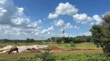 Agricultural/Farm Land for Sale in Arang, Raipur (12 Acre)