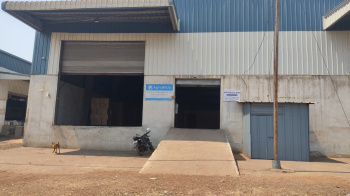Warehouse/Godown for Rent in Dharsiwa, Raipur (5000 Sq.ft.)