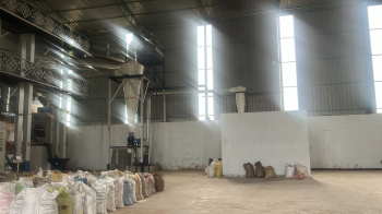 Warehouse/Godown for Rent in Birgaon, Raipur (8000 Sq.ft.)