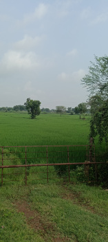 Agricultural/Farm Land for Sale in Dharsiwa, Raipur (18 Acre)