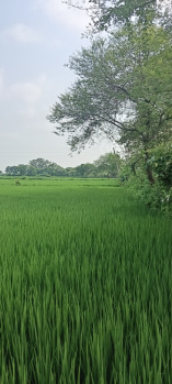 Property for sale in Dharsiwa, Raipur