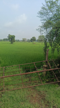 Agricultural/Farm Land for Sale in Mandir Hasaud, Raipur (4.37 Acre)
