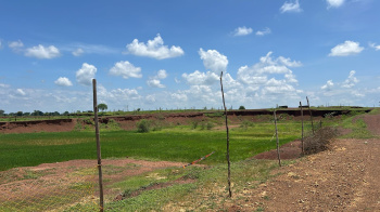 25 Acre Agricultural/Farm Land for Sale in Khamadi, Raipur