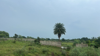 Agricultural/Farm Land for Sale in Siltara, Raipur (16 Acre)