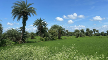 Property for sale in Baloda Bazar, Raipur
